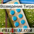 Возведение Тигра new09